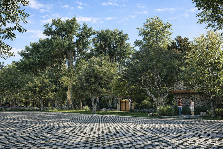 Zona Herradura (23)
