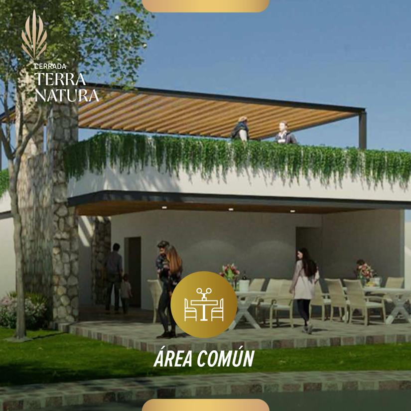 area comun